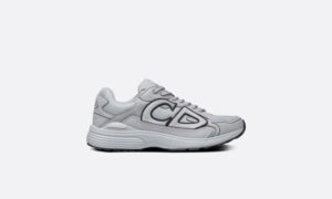 Dior B30 Sneaker Grijs